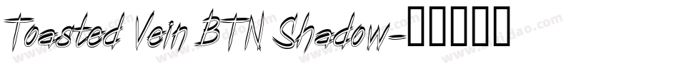 Toasted Vein BTN Shadow字体转换